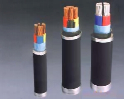 鲅魚圈額定電壓0.6 1kV聚氯乙烯絕緣聚氯乙烯護(hù)套電力電纜